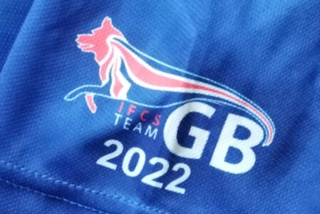 IFCS Team GB logo