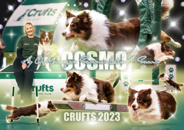 Collage Posters